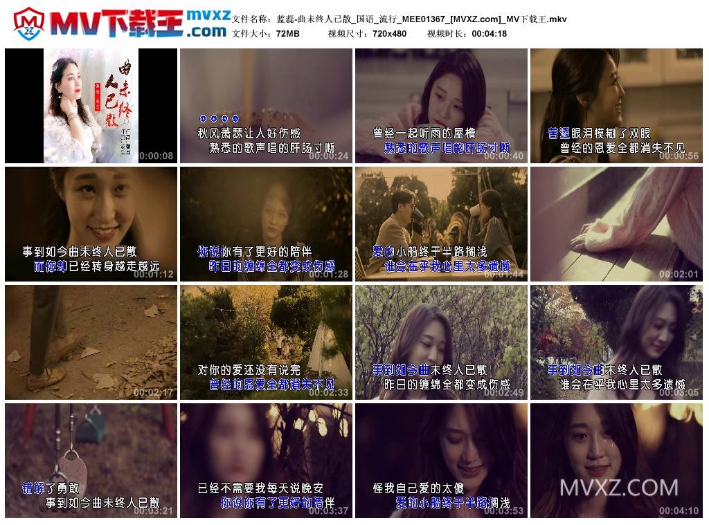 蓝蕊-曲未终人已散_国语_流行_MEE01367